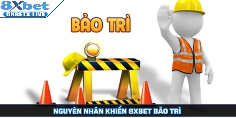 Nguyên nhân khiến 8Xbet bảo trì 