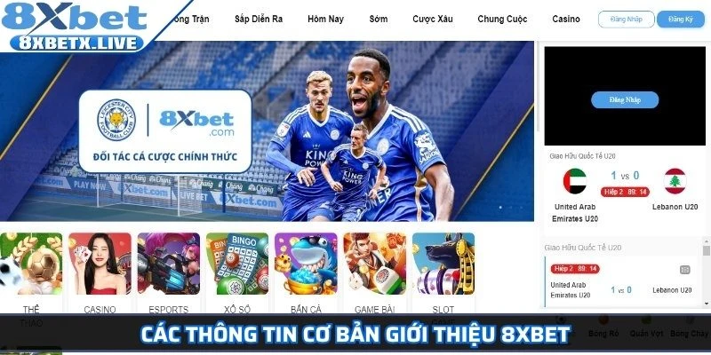 Các thông tin cơ bản giới thiệu 8Xbet