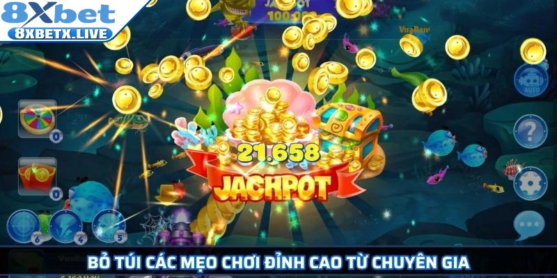 Bỏ túi các mẹo chơi đỉnh cao từ chuyên gia