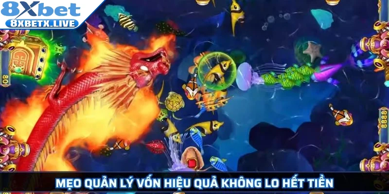 Mẹo quản lý vốn hiệu quả không lo hết tiền