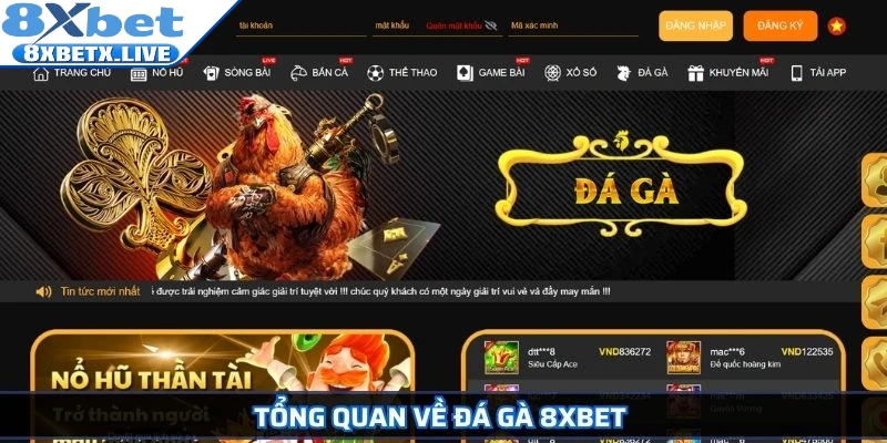 Tổng quan về Đá Gà 8Xbet