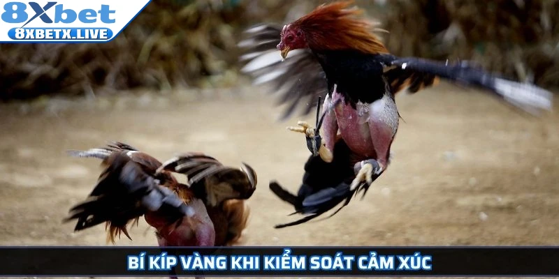 Bí kíp vàng khi kiểm soát cảm xúc