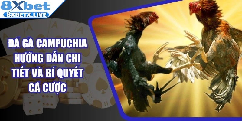 Đá gà Campuchia