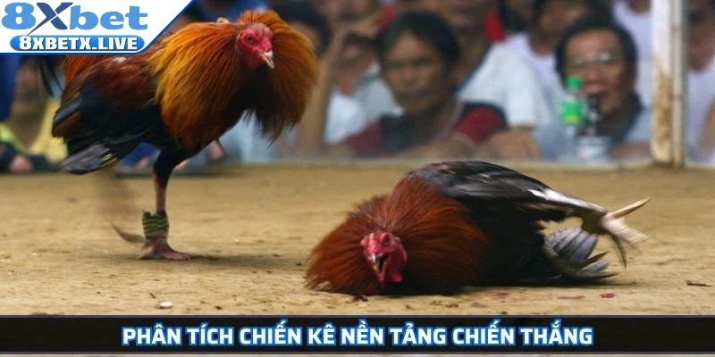 Phân tích chiến kê nền tảng chiến thắng