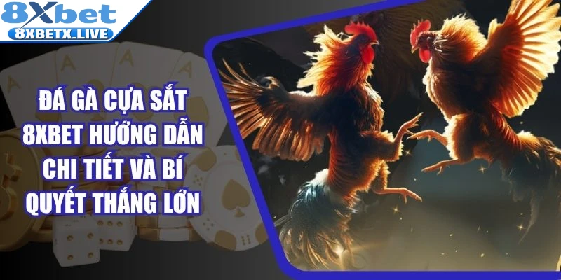Đá gà cựa sắt