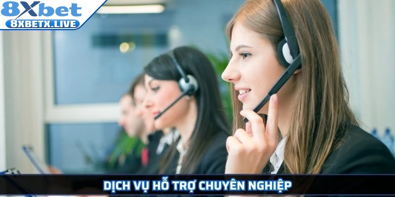 Dịch vụ hỗ trợ chuyên nghiệp