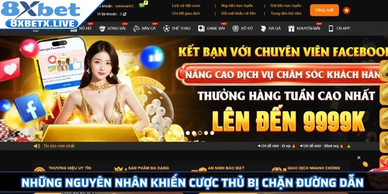 Những nguyên nhân khiến cược thủ bị chặn đường dẫn 