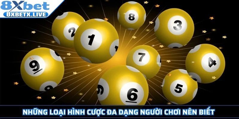 Những loại hình cược đa dạng người chơi nên biết 