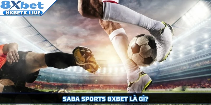SABA Sports 8Xbet là gì?
