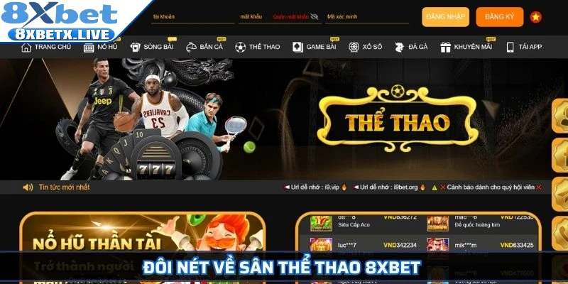 Đôi nét về sân thể thao 8Xbet
