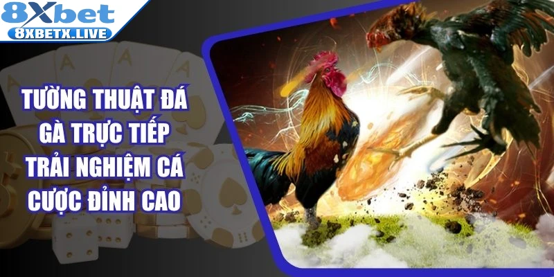 Tường Thuật Đá Gà Trực Tiếp